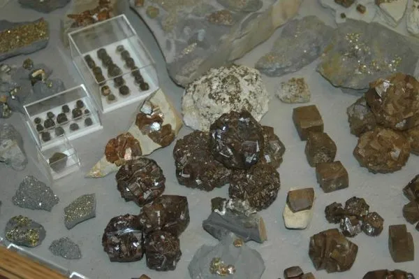 mineralfossil