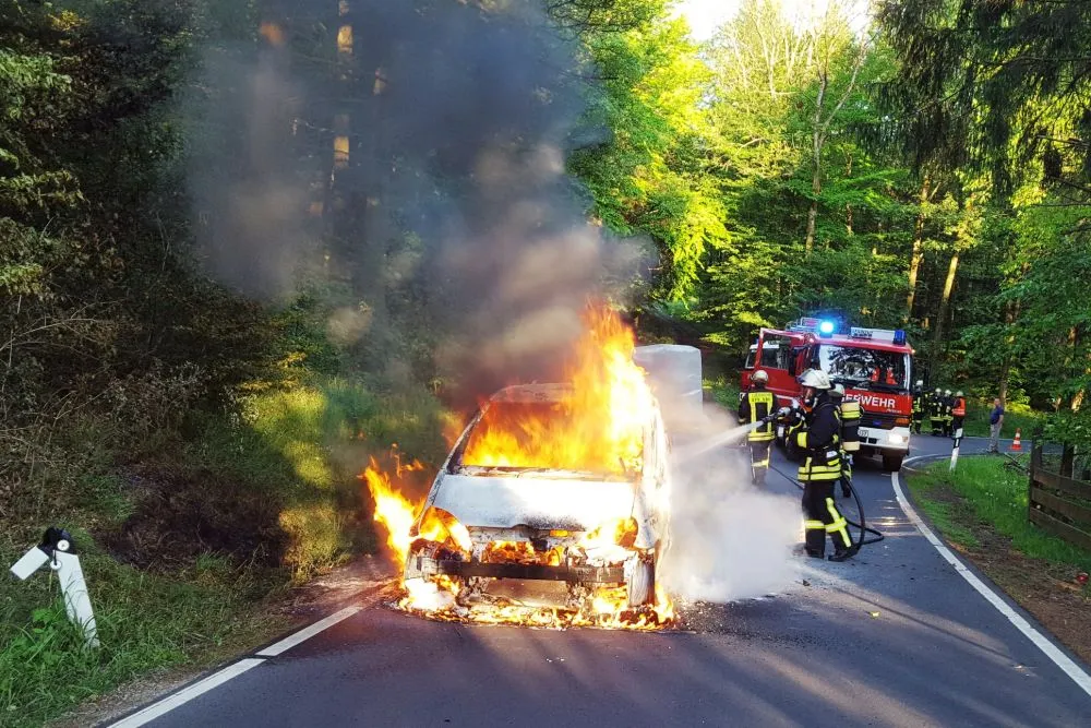 alsbergbrand1.jpg