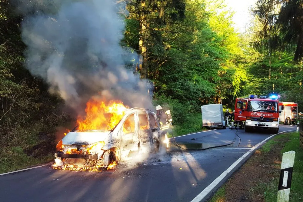 alsbergbrand2.jpg