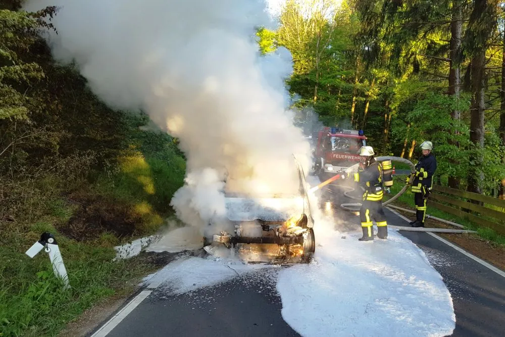 alsbergbrand4.jpg