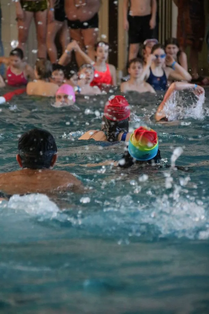 rehbeinschwimmt2.jpg