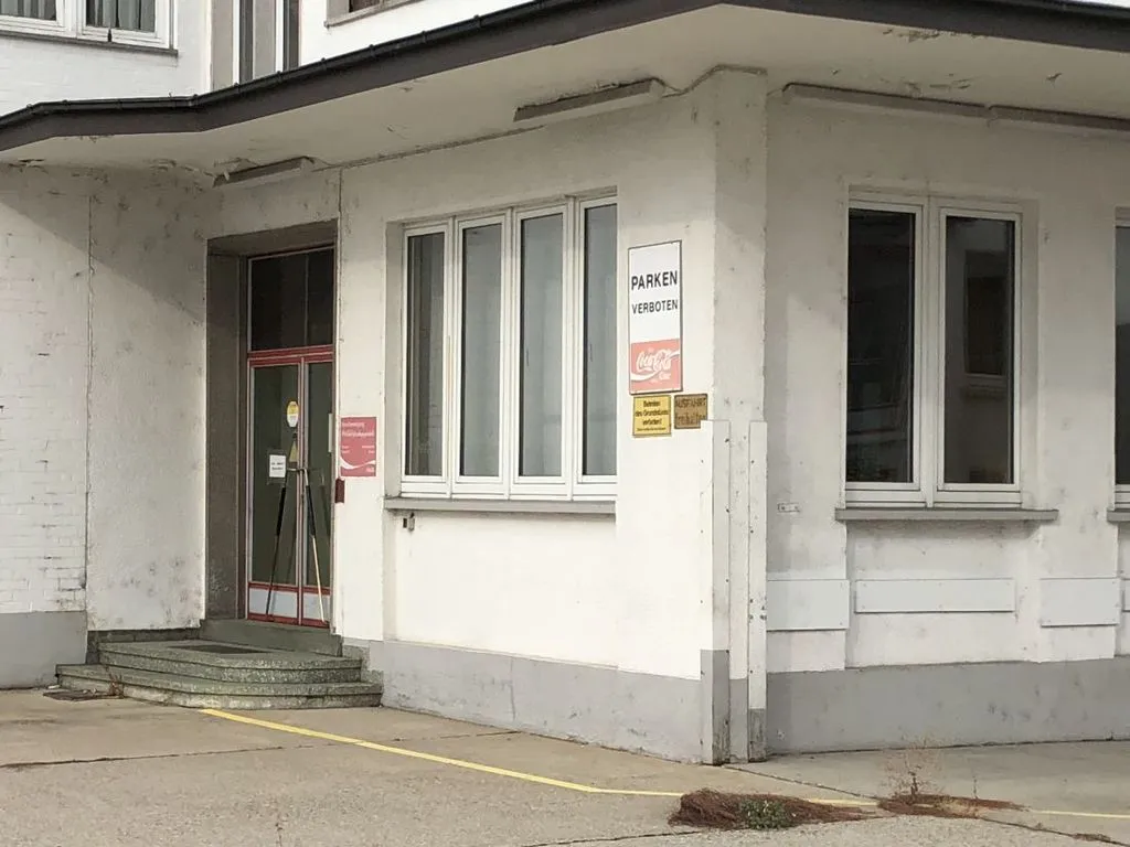 freigecoccola1.jpg