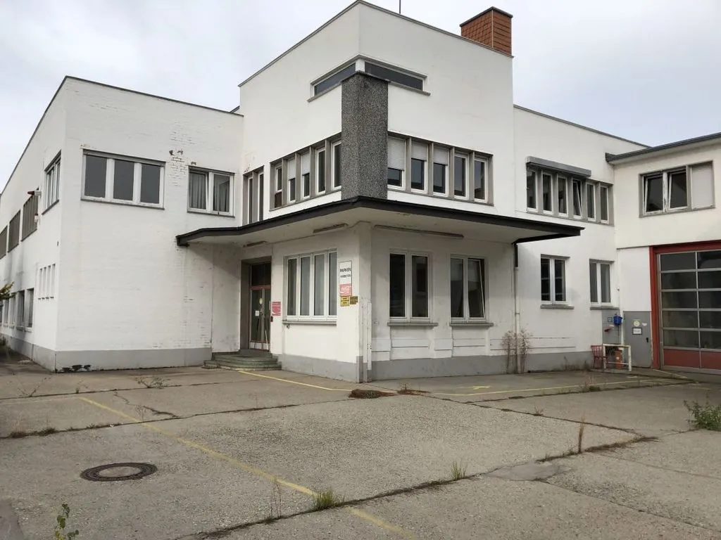 freigecoccola3.jpg