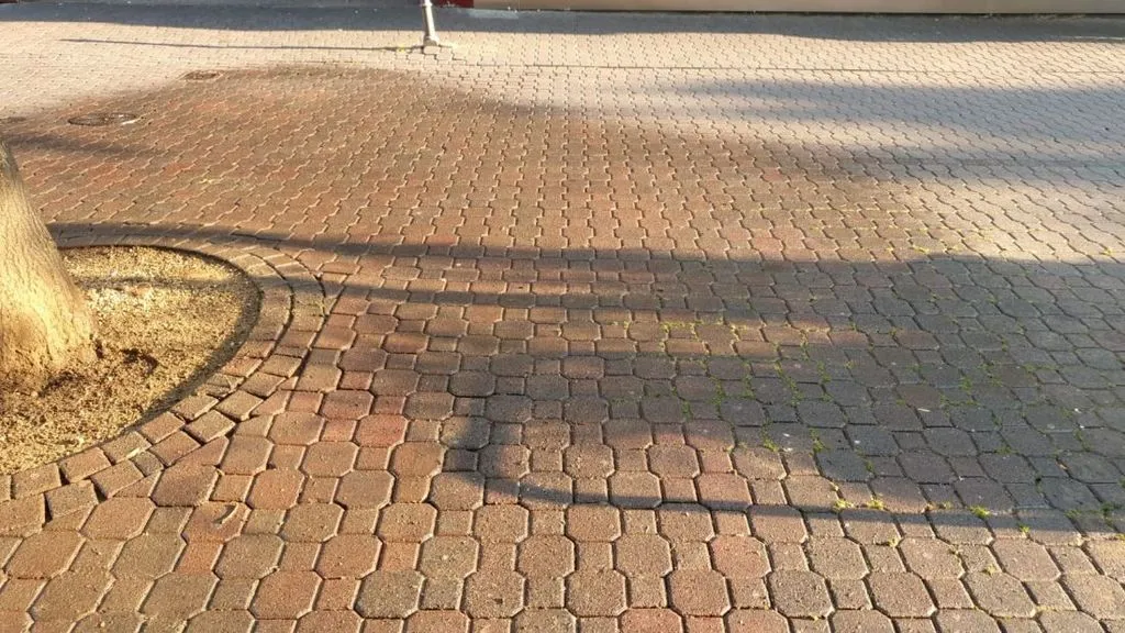 taubenkothanau3.jpg