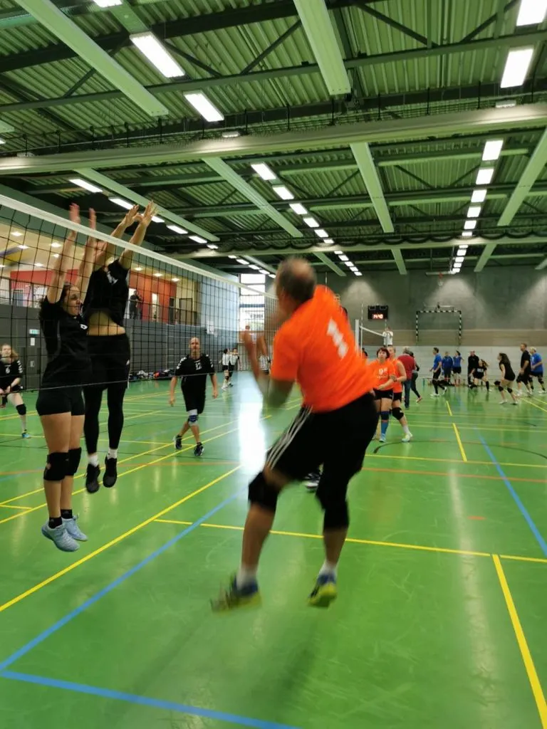 mixedvolleyschoene.jpg