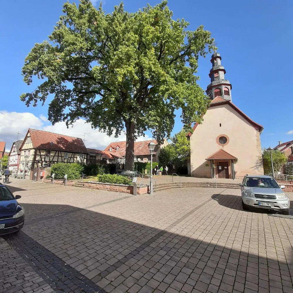 spaziergrueneichen1.jpg