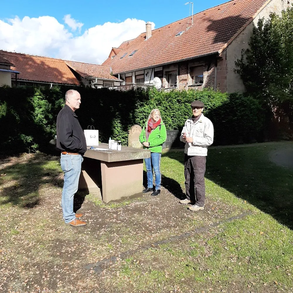 spaziergrueneichen2.jpg