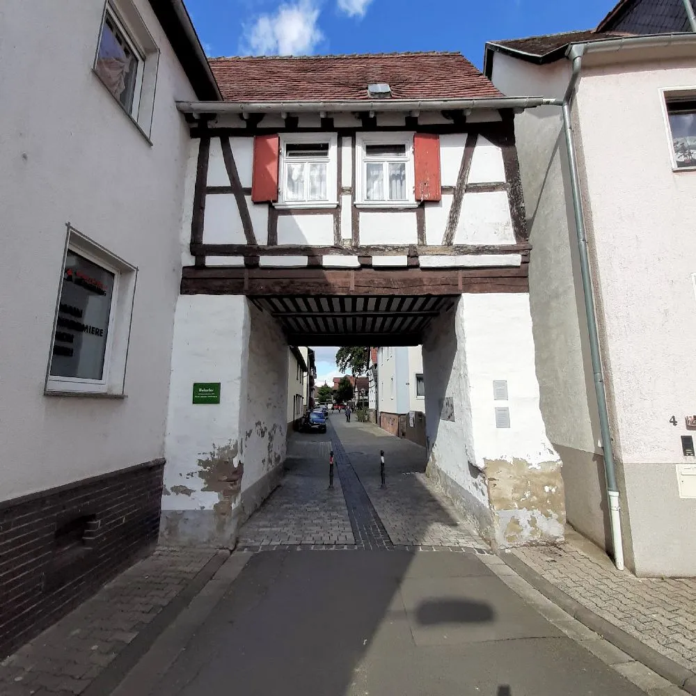 spaziergrueneichen4.jpg