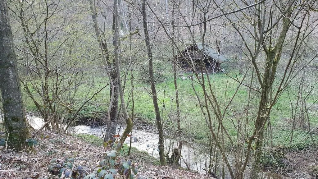 huettelngruene.jpg