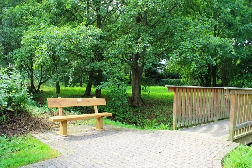 wanderbankrodenbachtal.jpg