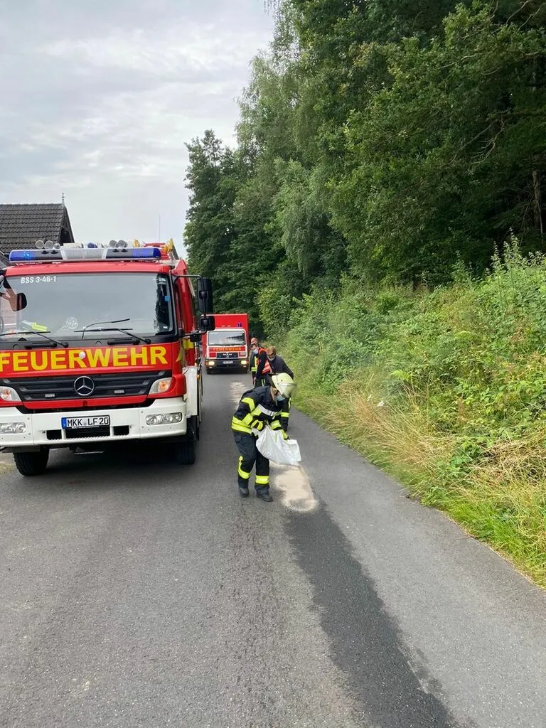 brandfahffwbss1.jpg