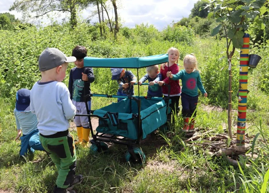 naturkitabollerwagen.jpg