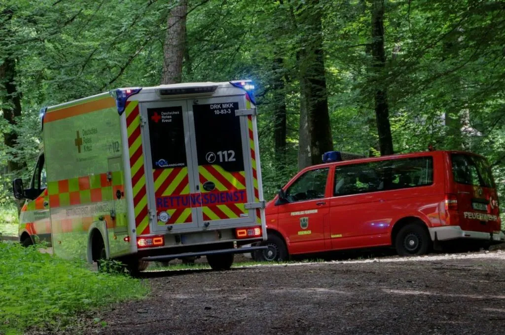 rodenbachmountainffw1.jpg