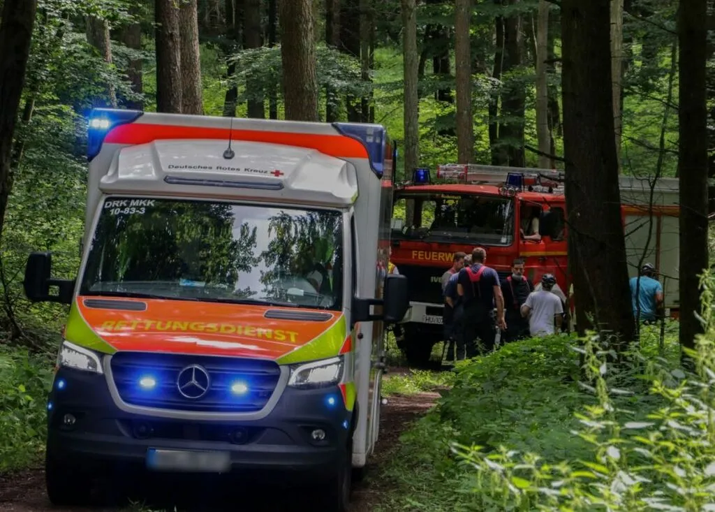 rodenbachmountainffw2.jpg
