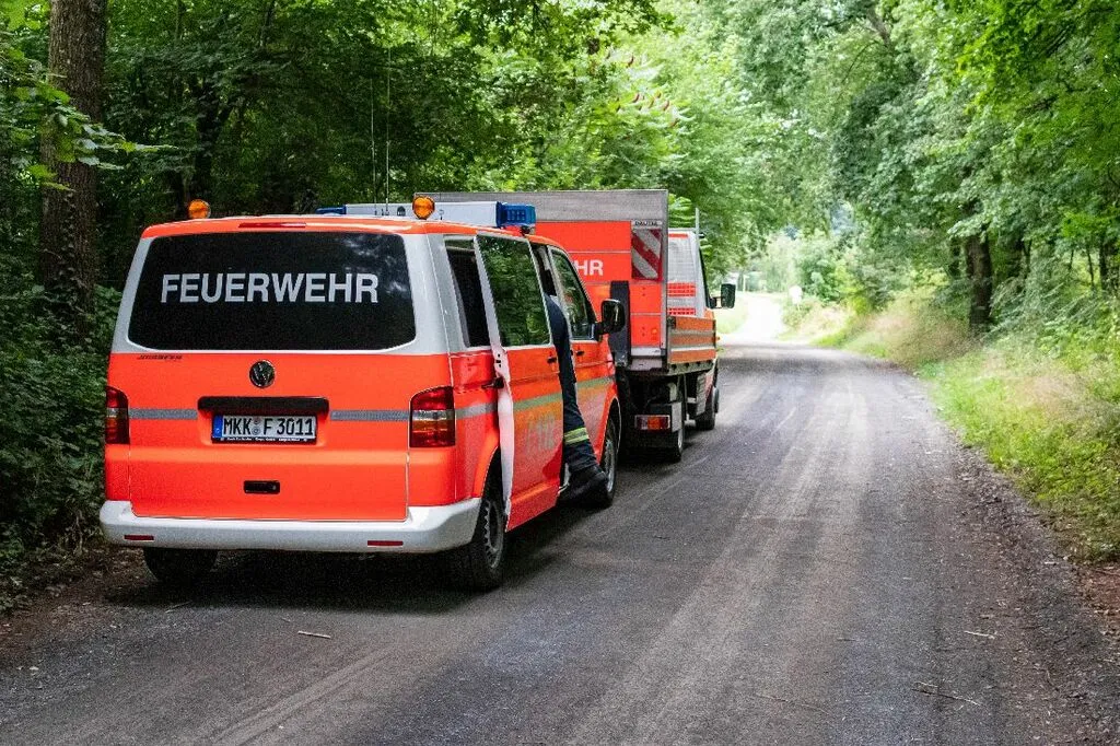 walduebungselbold18.jpg