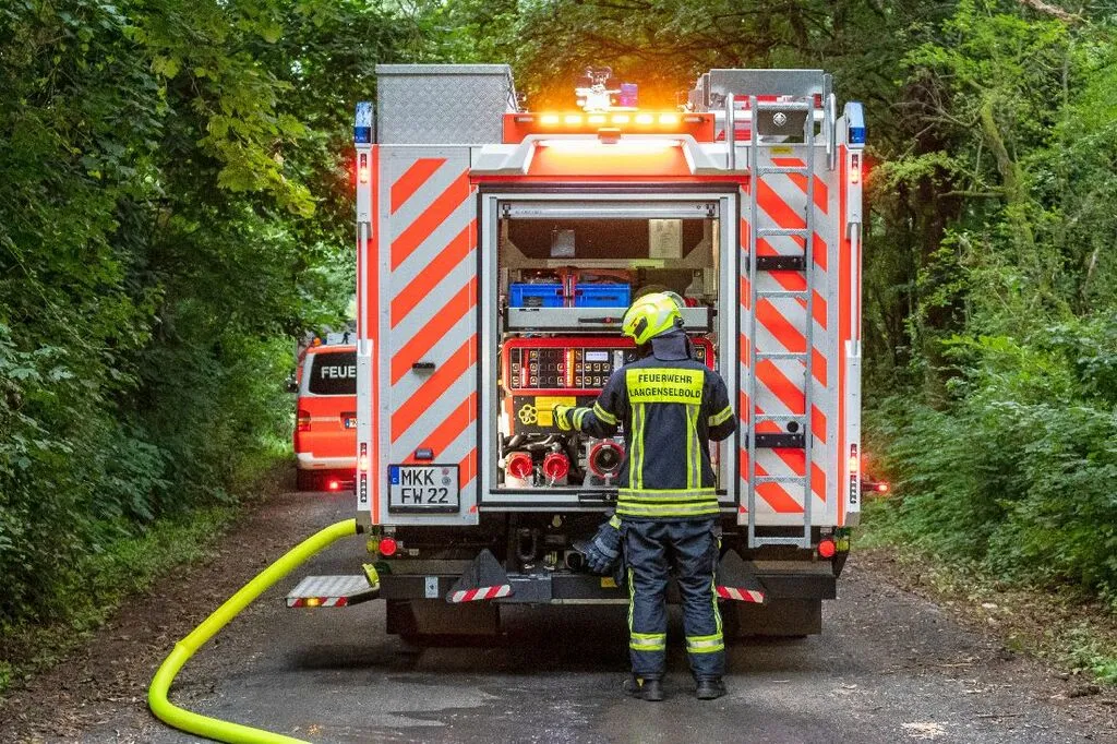 walduebungselbold6.jpg