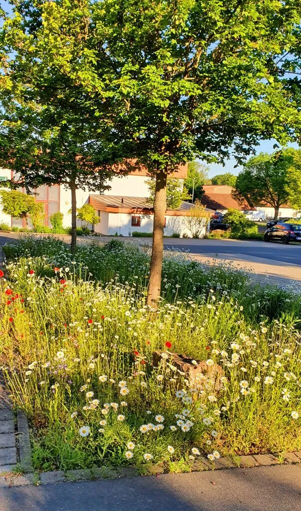 bluehgrundverkehr.jpg