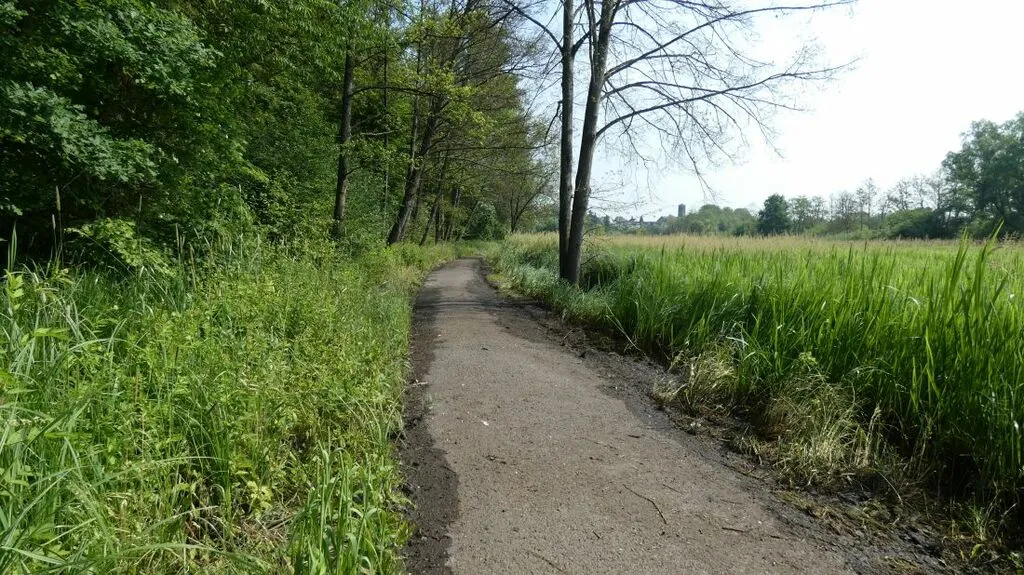 drainagebiberdamm.jpg
