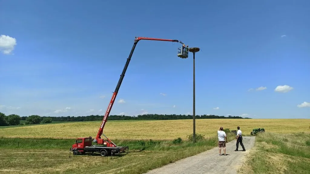 jungstolangenb1.jpg