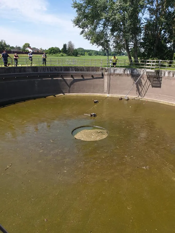 pumpstationbibergn2.jpg