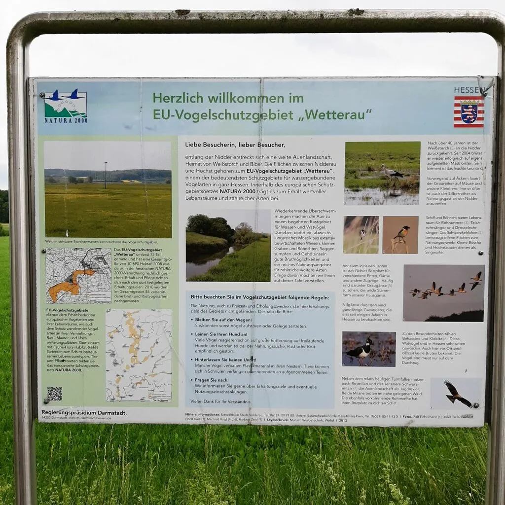 voghelschueichen.jpg