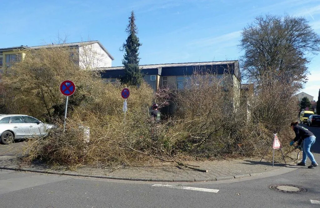 falschparekrroden11.jpg