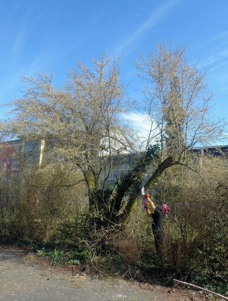 falschparekrroden13.jpg