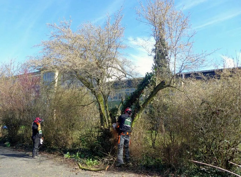 falschparekrroden14.jpg