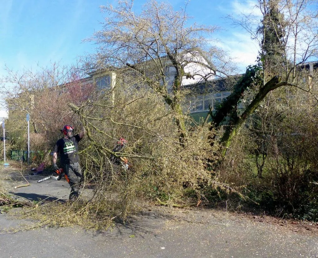falschparekrroden15.jpg