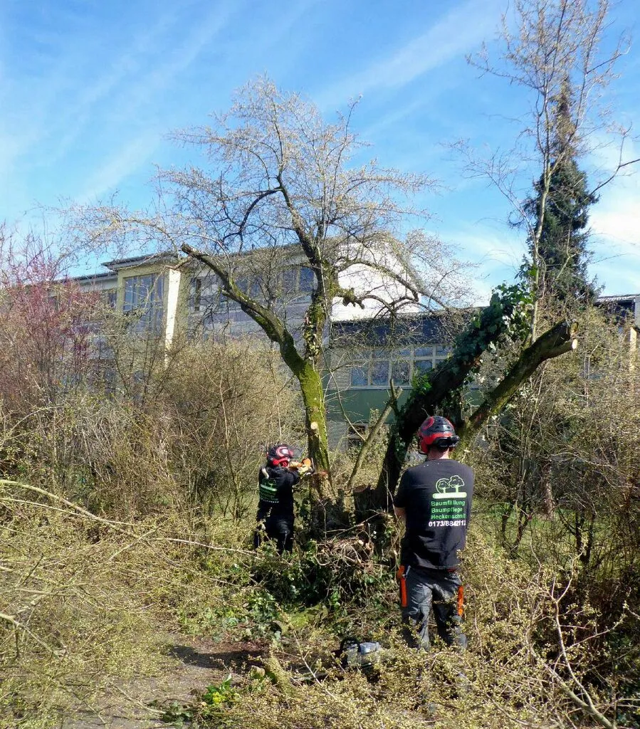 falschparekrroden16.jpg
