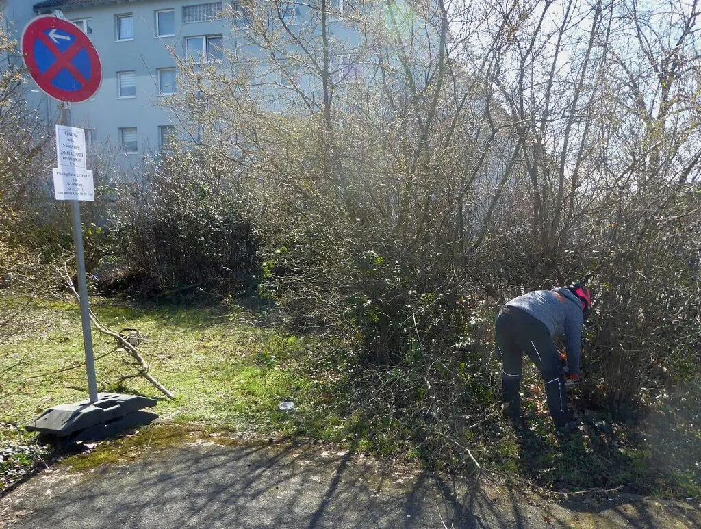 falschparekrroden8.jpg