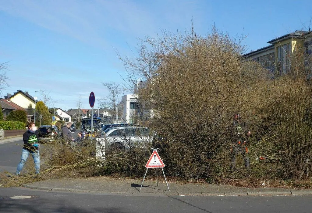 falschparekrroden9.jpg