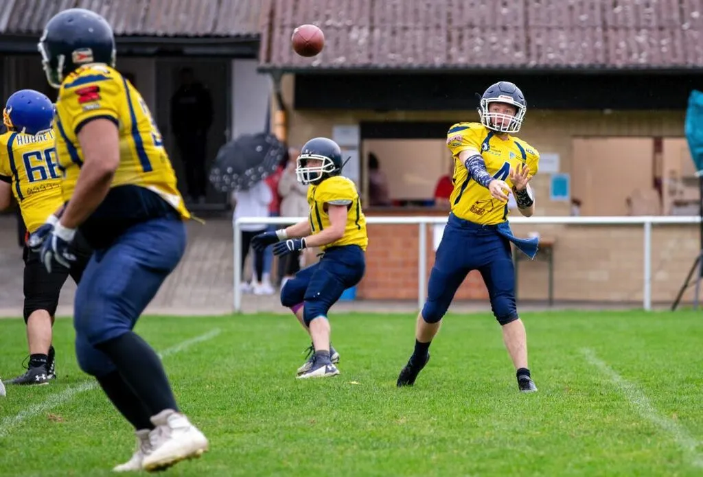 hornetsdaempfer_az1.jpg