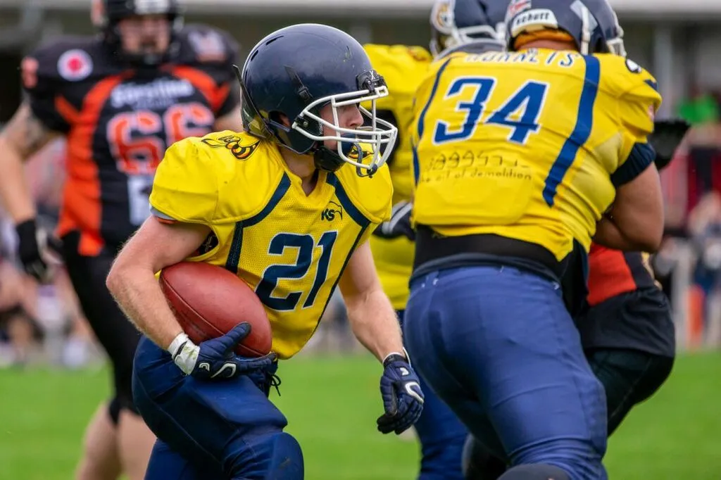 hornetsdaempfer_az5.jpg