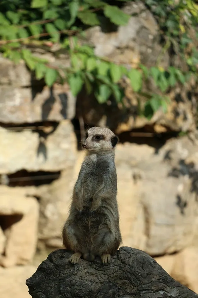 krhzoobesuch_az1.jpg