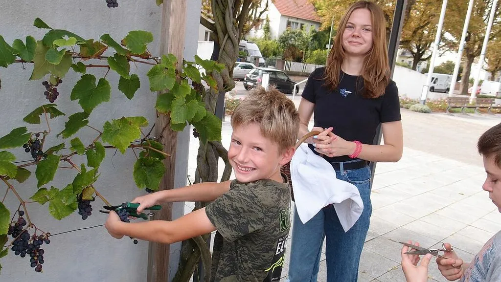 weinlesekessel_az.jpg