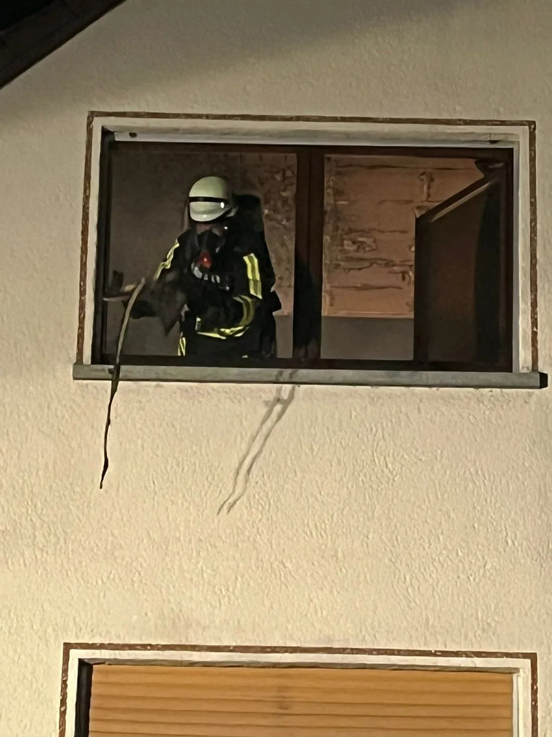 katzeninaufenauubrand az5