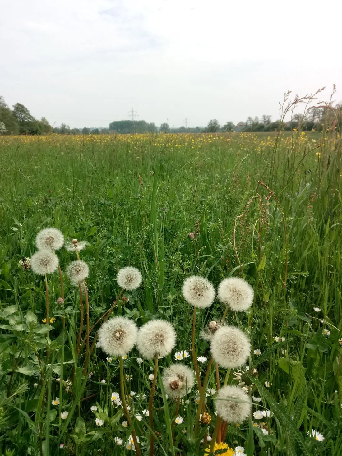 herbstzeitgna az2