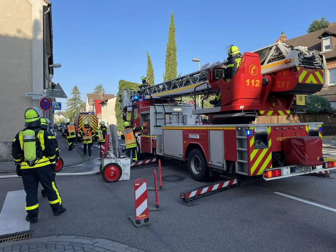 kellersteinhingelhu az1