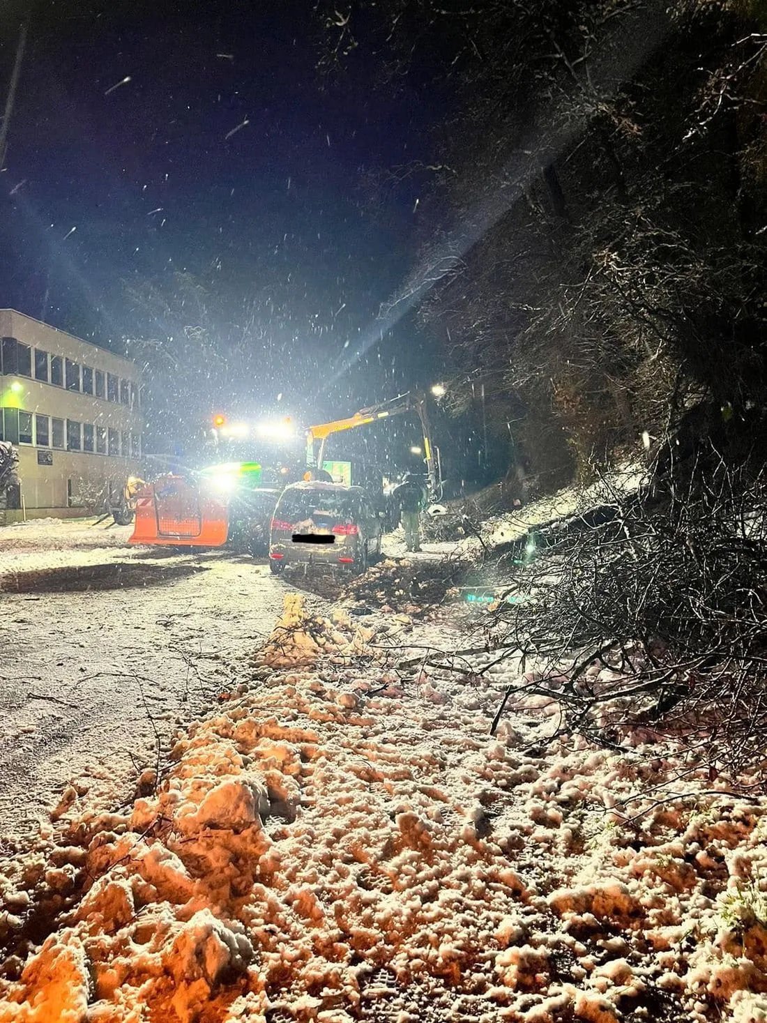 pkwbirsteinbaum az1