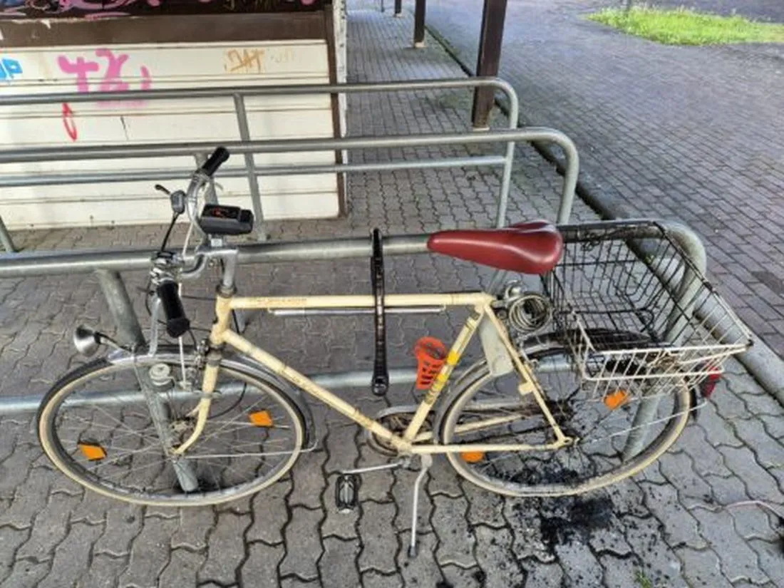 salzmannfahrrad az