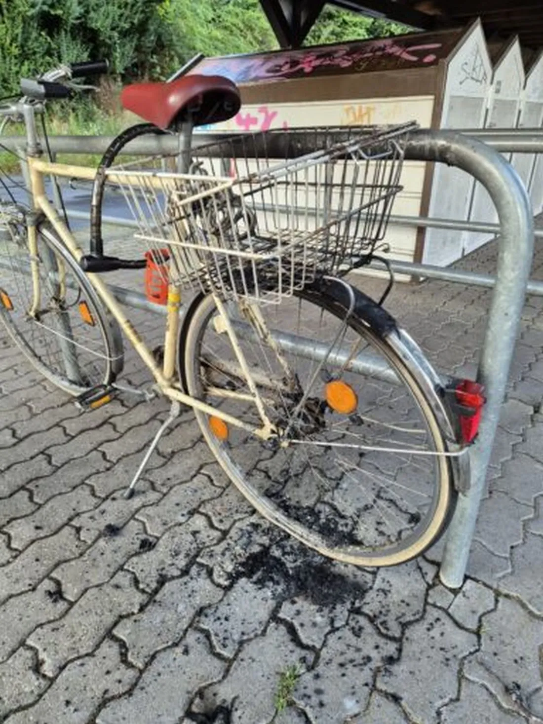 salzmannfahrrad az1