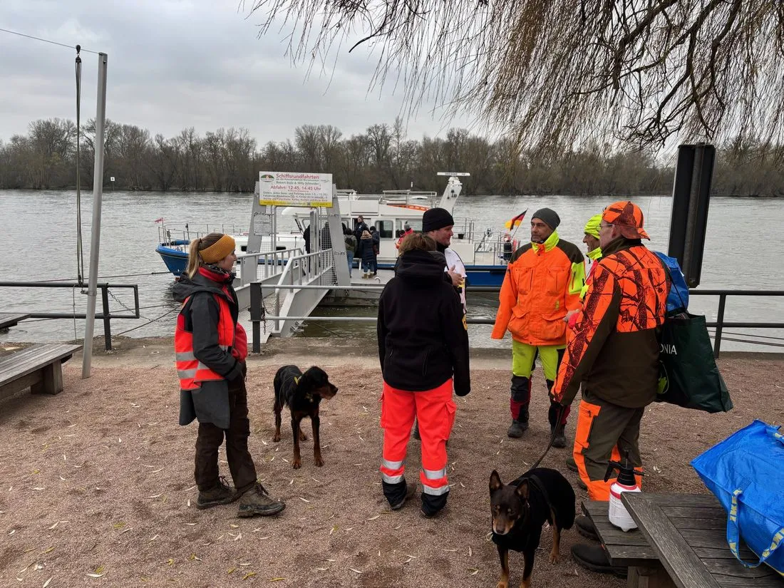 rheingauasp az3