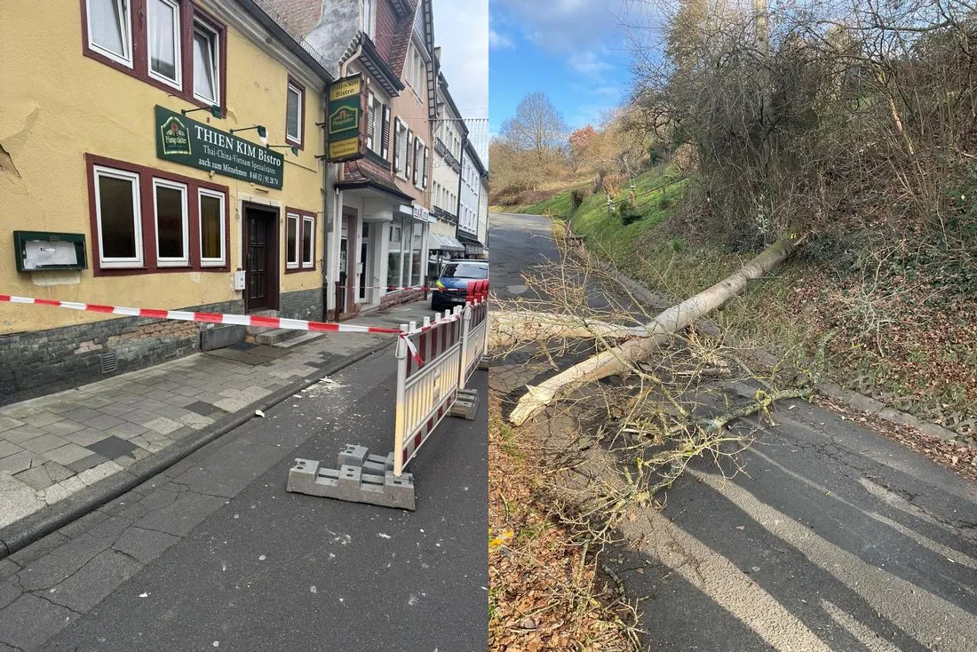 Bad Orb: Bröckelnde Fassade und umgestürzter Baum