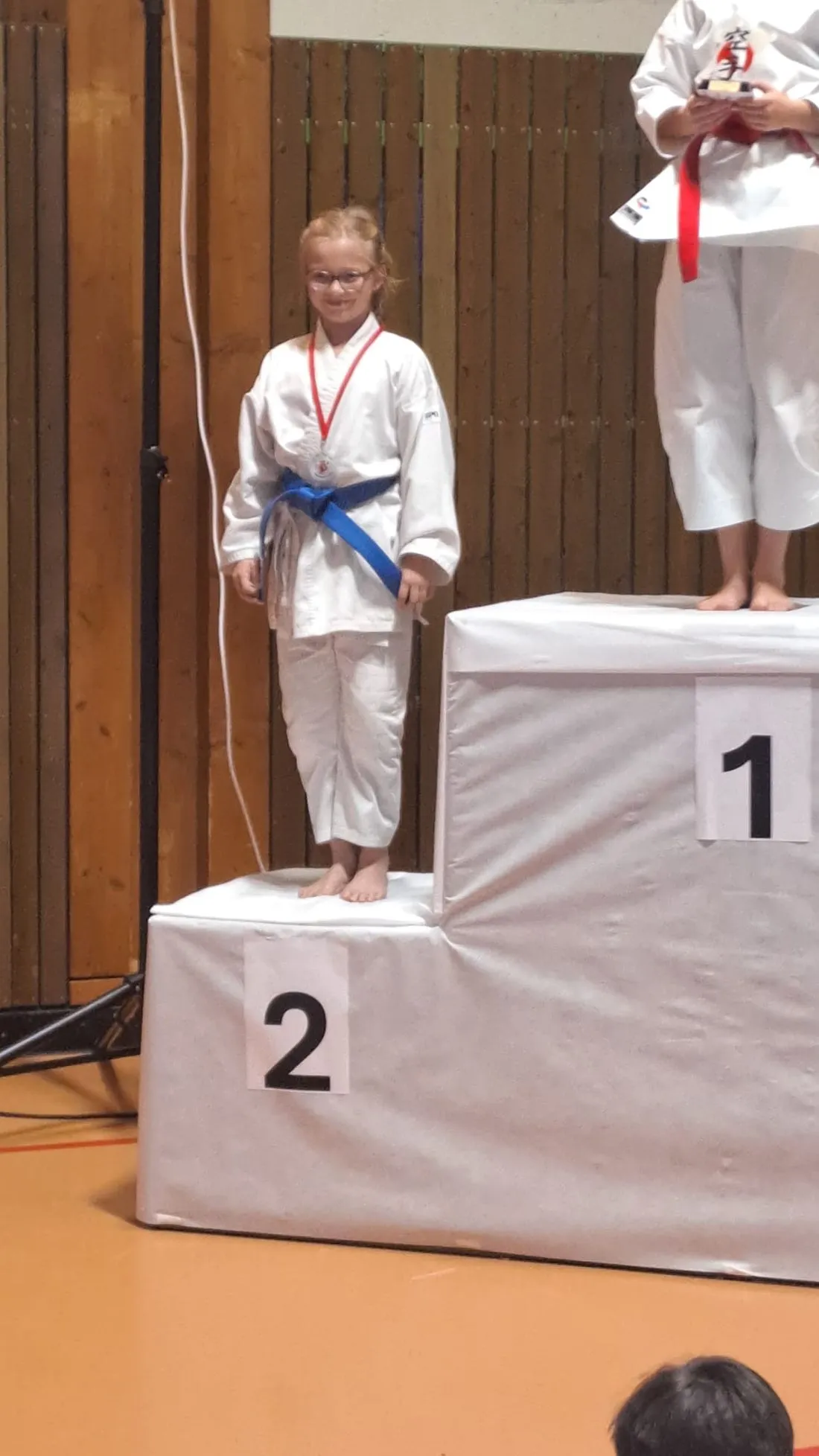 karateodenwaldcup az3