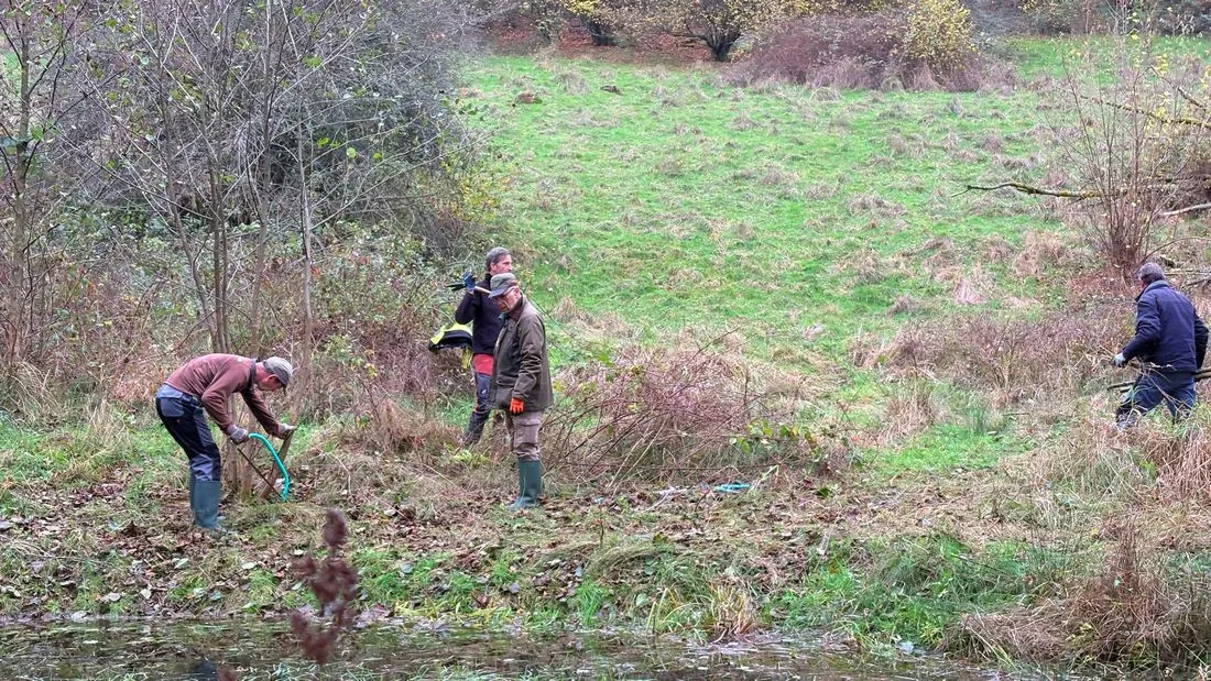 Natur- und Vogelschutzgruppe Bad Orb pflegt Biotopteiche