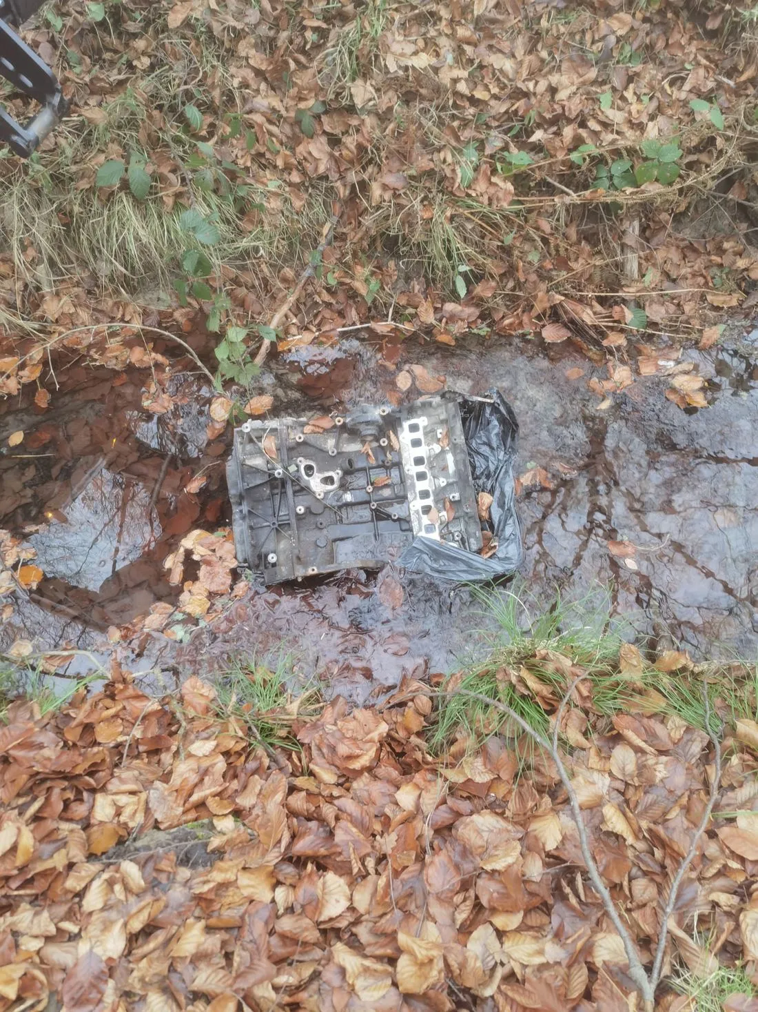 seligenmotorblock az