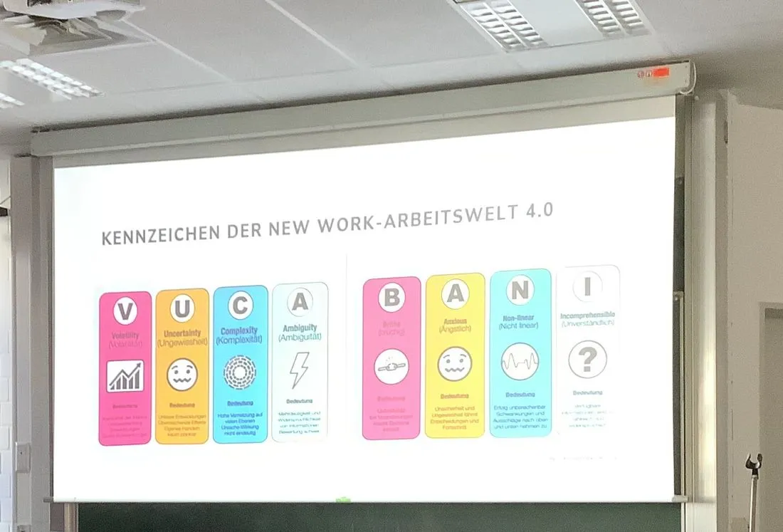 newworkgn az3