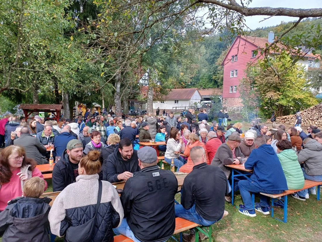 mvkasselbratfest az