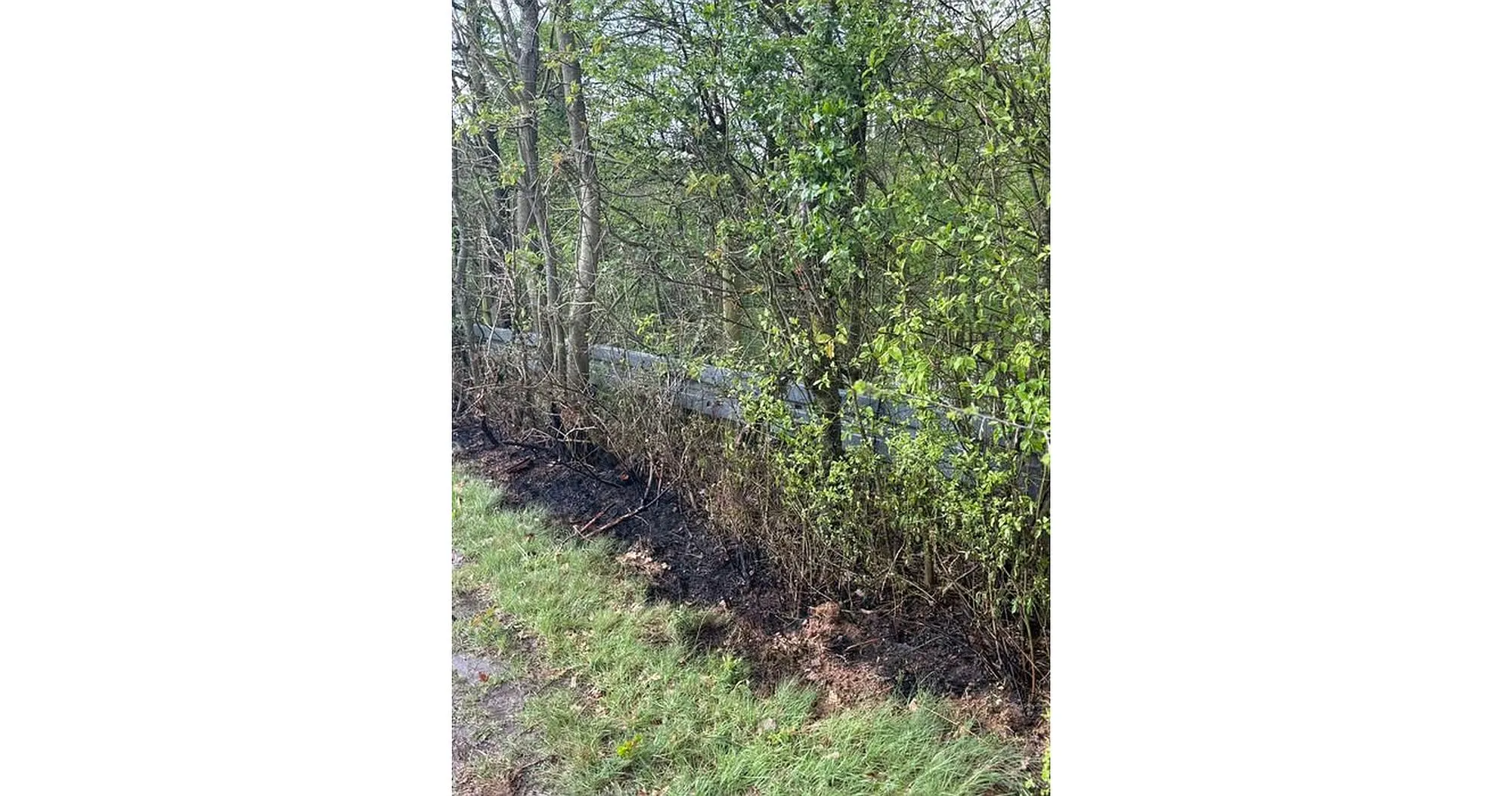 Wächtersbach: Hecke und Buschwerk brennt am Aufenauer Berg